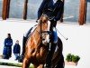 dressage horse Vino de Belleza (Austrian Warmblood, 2018, from Borsalino)