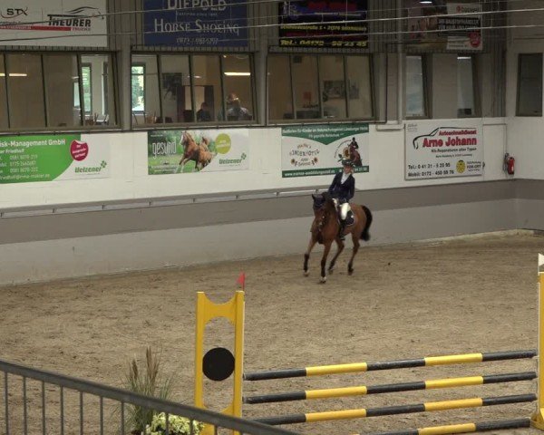 Reitturnier AZL Luhmühlen 2024