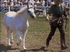 broodmare Weston Pearly Necklace (Welsh mountain pony (SEK.A), 1969, from Brierwood Blue Boy)