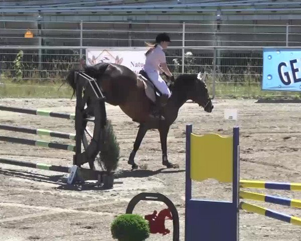 Leutkirch-Haid 2013