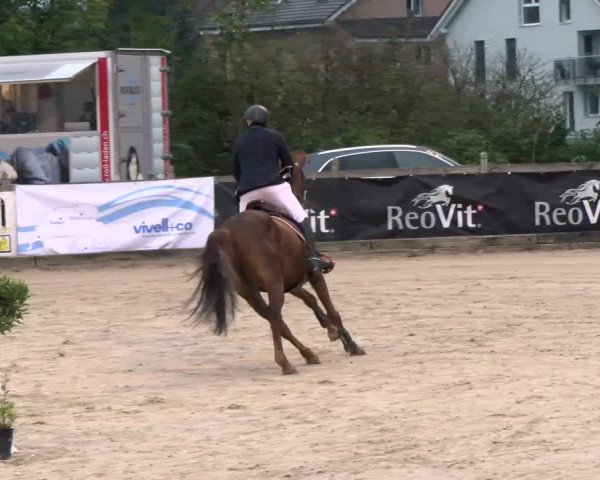 Pferdesporttage Neuendorf SO 2021