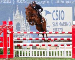 stallion Carismo Z (Zangersheide riding horse, 2001, from Carthago)