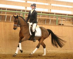 dressage horse Denver B (German Riding Pony, 2009, from Down Under)