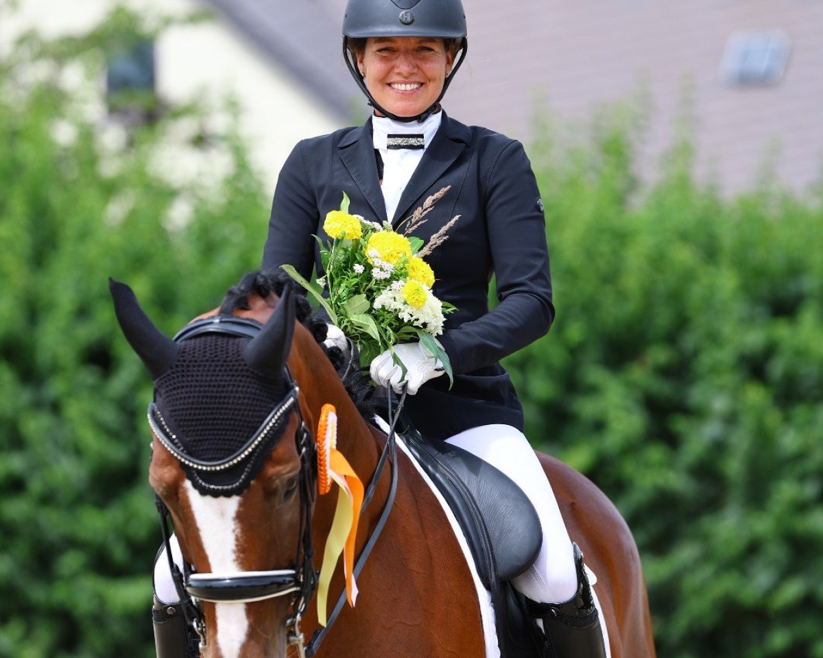 Dressurpferd Petronella Apfelmus (Deutsches Sportpferd, 2015, von Danciano)