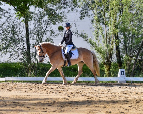 Jaimy Munnix