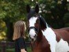 dressage horse Henriette (unknown, 2000)