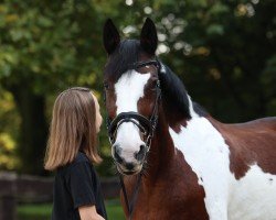 dressage horse Henriette (unknown, 2000)