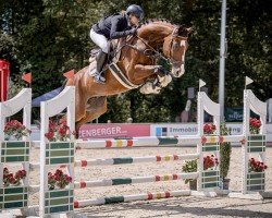 jumper Q Sieben B (Hanoverian, 2018, from Qualito)