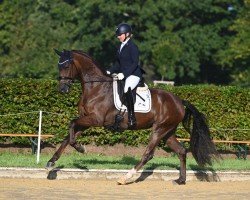 dressage horse Belle Amour (Westphalian, 2021, from Bonds)