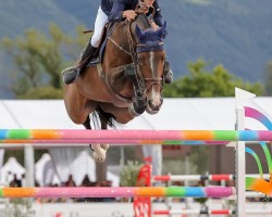 jumper Lukaku vd Bisschop (Belgian Warmblood, 2011, from Plot Blue)