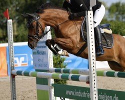 dressage horse Dakaria Queen (German Riding Pony, 2018, from Kastanienhof Cockney Cracker)