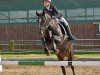 jumper King Cup (German Riding Pony, 2008, from Keerlke)