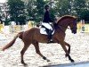 jumper Jon 7 (KWPN (Royal Dutch Sporthorse), 2019, from Jenssen VDL)