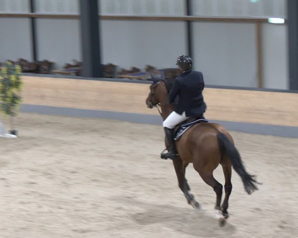 Reitturnier Borken 2024