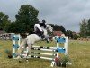 jumper Columbiana (German Sport Horse, 2016, from Cordess 2)