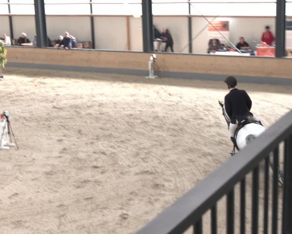 Reitturnier Borken 2024