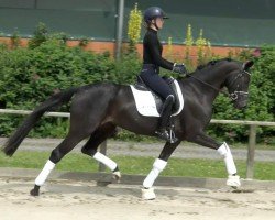 broodmare Frieda Fun (Westphalian, 2020, from For Dance)