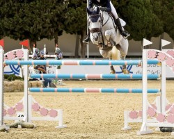 jumper Mano Negra van de Bucxtale (Belgian Warmblood, 2012, from Mylord Carthago)