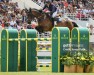 Springpferd Miss Marie van't Winnenhof (Belgisches Warmblut, 2012, von Edjaz van T Merelsnest)