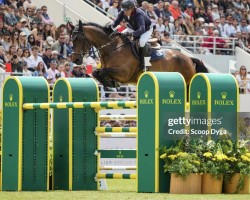 Springpferd Miss Marie van't Winnenhof (Belgisches Warmblut, 2012, von Edjaz van T Merelsnest)