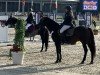 jumper Joly's Dixie (New Forest Pony, 2006, from Joly's Romeo)