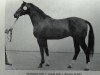 stallion Grundsatz 1452 (Mecklenburg, 1983, from Grund 3368)