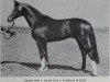 stallion Gaston 1460 (Noble Warmblood, 1984, from Gardo 2730)