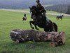 dressage horse De Luxe von der Aue (Austrian Warmblood, 2015, from Danciano)