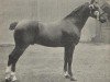 Deckhengst Royal Danegelt (Hackney (Pferd/Pony), 1894, von Danegelt)