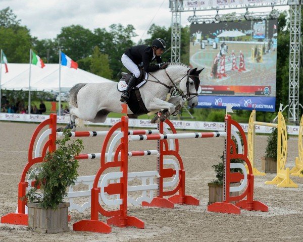 jumper Copa Cabana (KWPN (Royal Dutch Sporthorse), 2007, from Cartano)