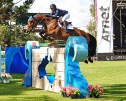 jumper Toulouse 66 (Oldenburg show jumper, 2005, from Toulon)