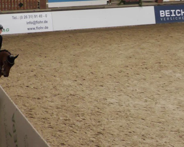 Reitturnier Neuwied 2024