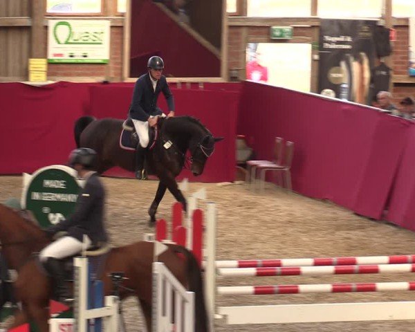 Reitturnier Krumke 2024