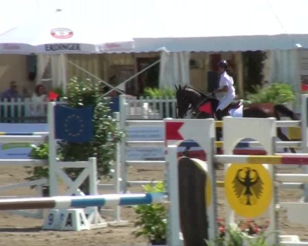 60. Lobbericher Reitsportfestival 01.-04.08.2013