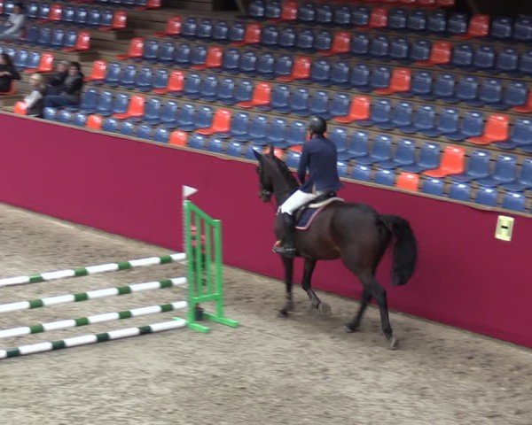 Reitturnier Krumke 2024