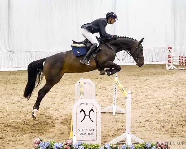 jumper Greta B (Hanoverian, 2020, from Grey Top)