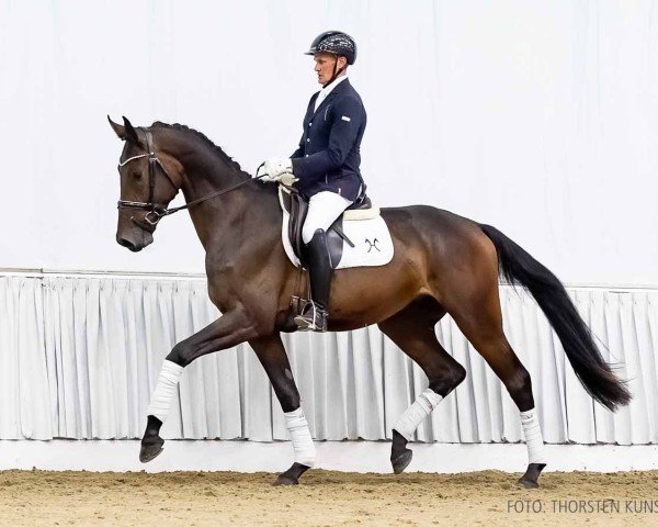 dressage horse Magic Love (Hanoverian, 2021, from Maracana)