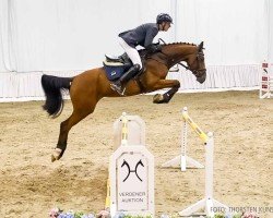 jumper On Top 10 (Hanoverian, 2019, from Ogano)