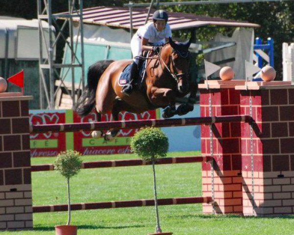 jumper Deuxchin van de Landhoek (Belgian Warmblood, 2003, from Triomphe de Muze)