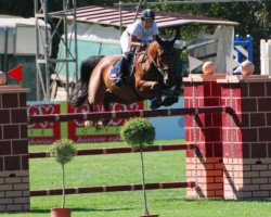 Springpferd Deuxchin van de Landhoek (Belgisches Warmblut, 2003, von Triomphe de Muze)