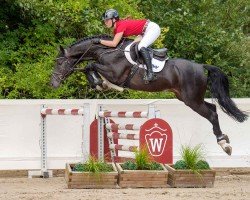 jumper Cornetto (Oldenburg, 2019, from Cornet de Semilly)