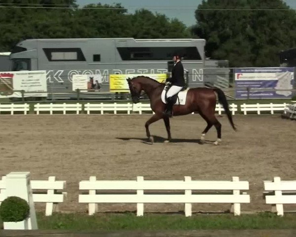 60. Lobbericher Reitsportfestival 01.-04.08.2013
