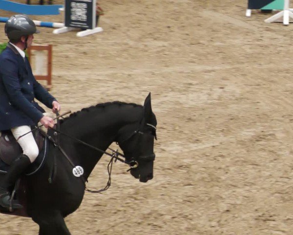 Reitturnier Neuwied 2024