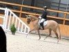 dressage horse Dream Davina (German Riding Pony, 2021, from Dancing Fox 2)