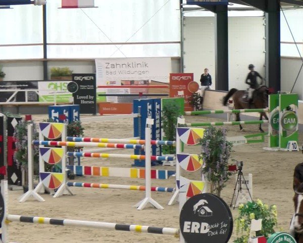 Reitturnier Borken 2024