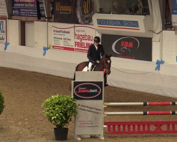 Reitturnier Gronau 2024