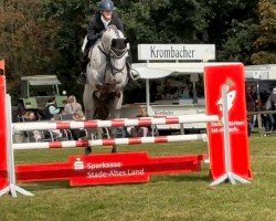 jumper Carbo 11 (Hanoverian, 2018, from K.i Checkter)