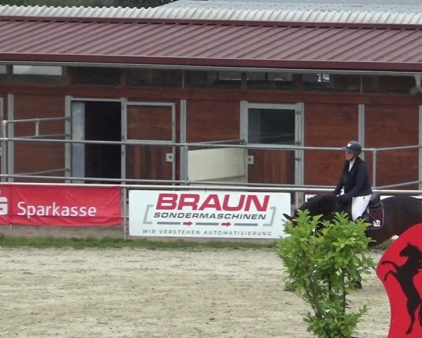 Reitturnier Achern 2024