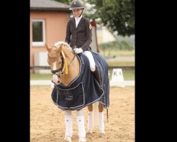 stallion Nacro's Dancer (German Riding Pony, 2008, from Nacromancer in the dark)