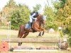 broodmare Allerliebst M.O. (German Riding Pony, 2016, from A Gorgeous)